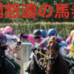 狂瀾怒濤の馬券戦略【中央競馬版】